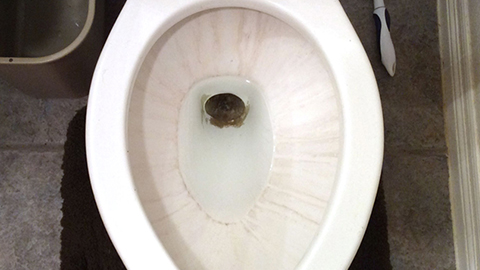 toilet ontkalken